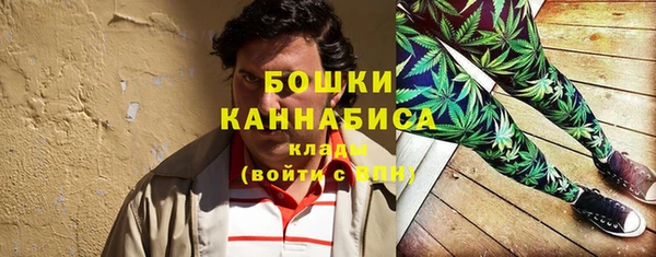 ГАЛЛЮЦИНОГЕННЫЕ ГРИБЫ Каменногорск