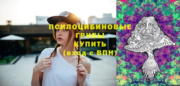 ГАЛЛЮЦИНОГЕННЫЕ ГРИБЫ Каменногорск