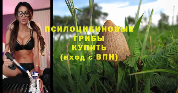 героин Каменка