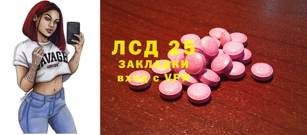 ГАЛЛЮЦИНОГЕННЫЕ ГРИБЫ Каменногорск