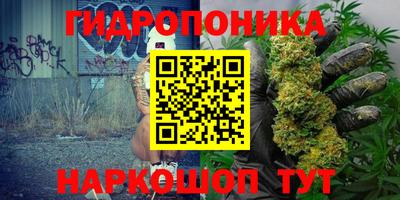 дживик Гатчина