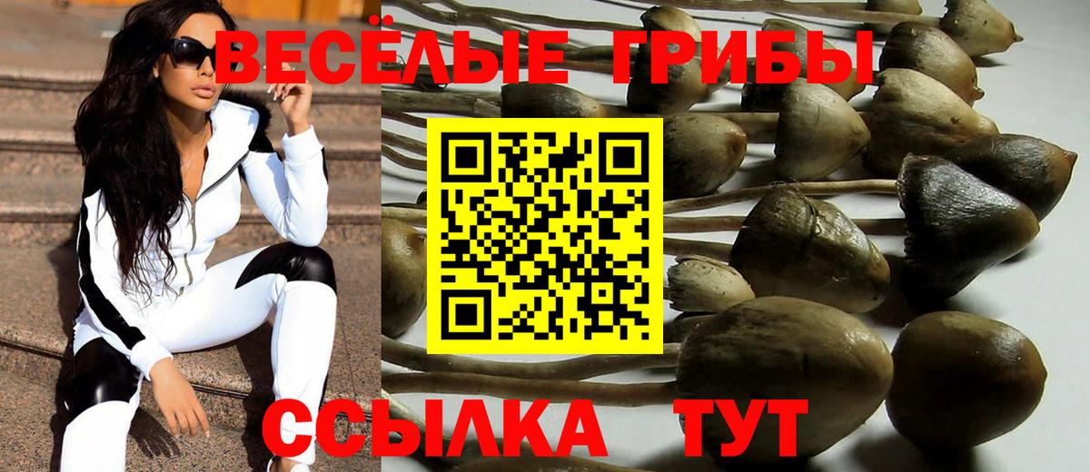 Галлюциногенные грибы Magic Shrooms  Камышин 