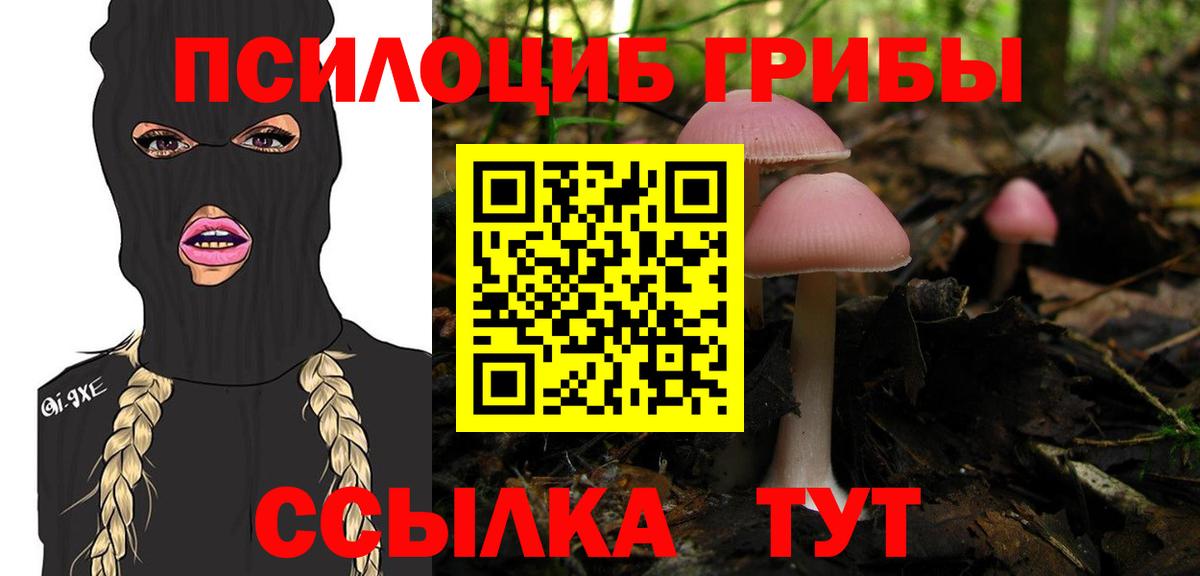 Псилоцибиновые грибы MAGIC MUSHROOMS  Вход с VPN  Камышин 