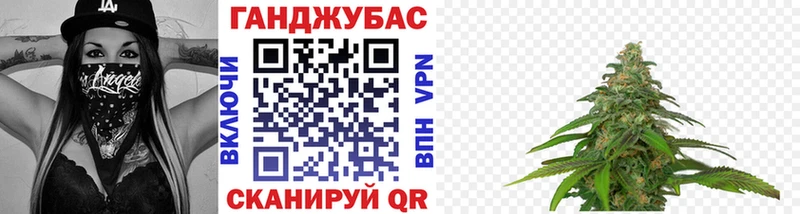 MEGA ТОР  Камышин  Каннабис план 
