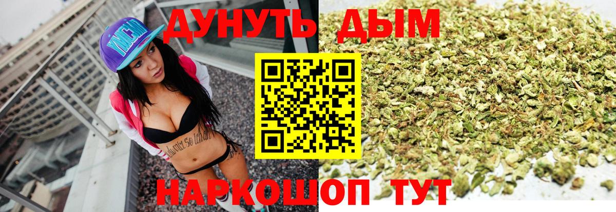 Бошки Шишки план  Вход с VPN  Марихуана тримм  Камышин 